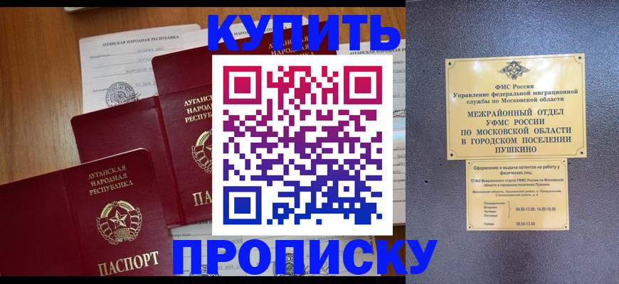 прописка в квартире в Чкаловске